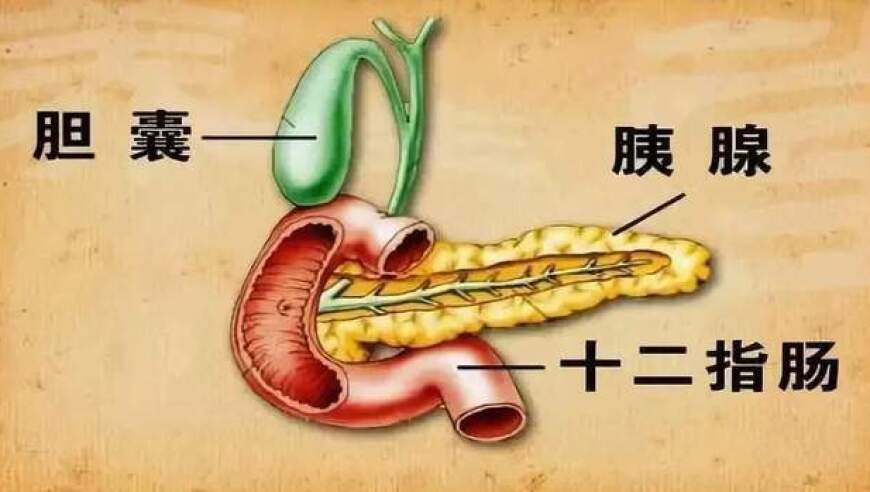 杭州小伙因半碗红烧肉住进ICU，致命率极高。医生建议：一周内摄入量不超过半斤。