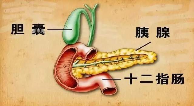 半碗红烧肉下肚，杭州小伙确诊进了ICU！致死率极高！医生：一周别超过半斤