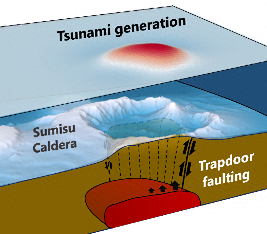 日本海底火山口发现奇异水母，胃部有鲜红十字，至今仅被发现2次