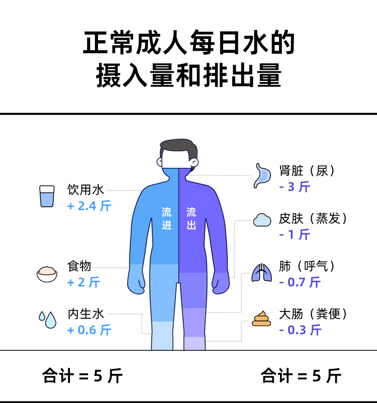 一天竟然能胖 3 斤！？真人实测揭露体重的秘密……