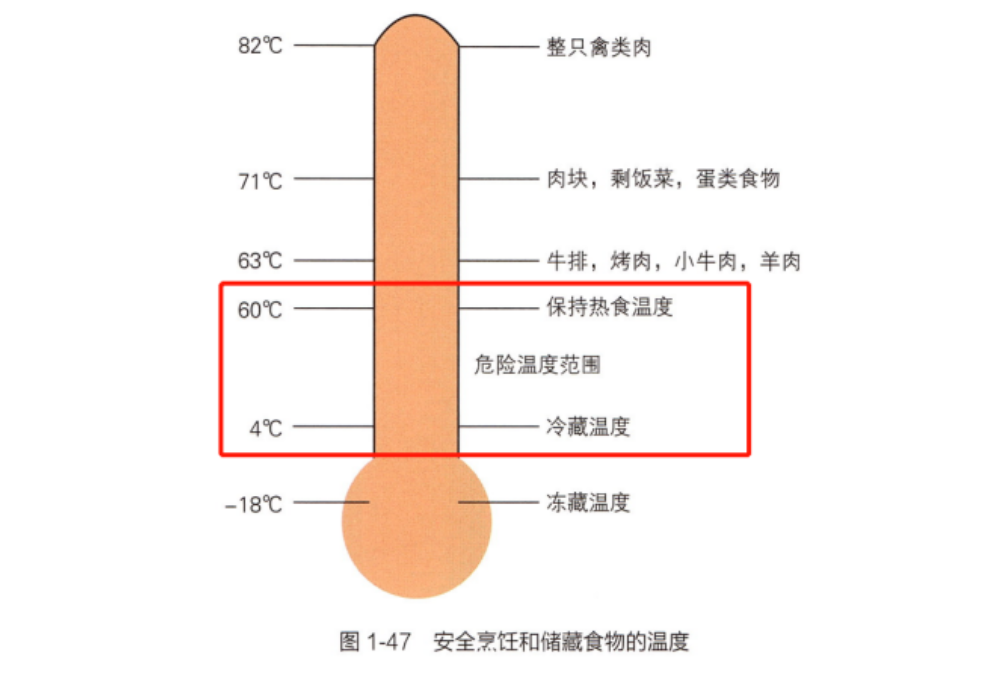 吃隔夜饭、隔夜菜会致癌？到底还能不能吃？一文说清