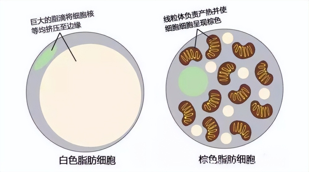 真心建议，最近别给娃穿太多，后果真的很可怕