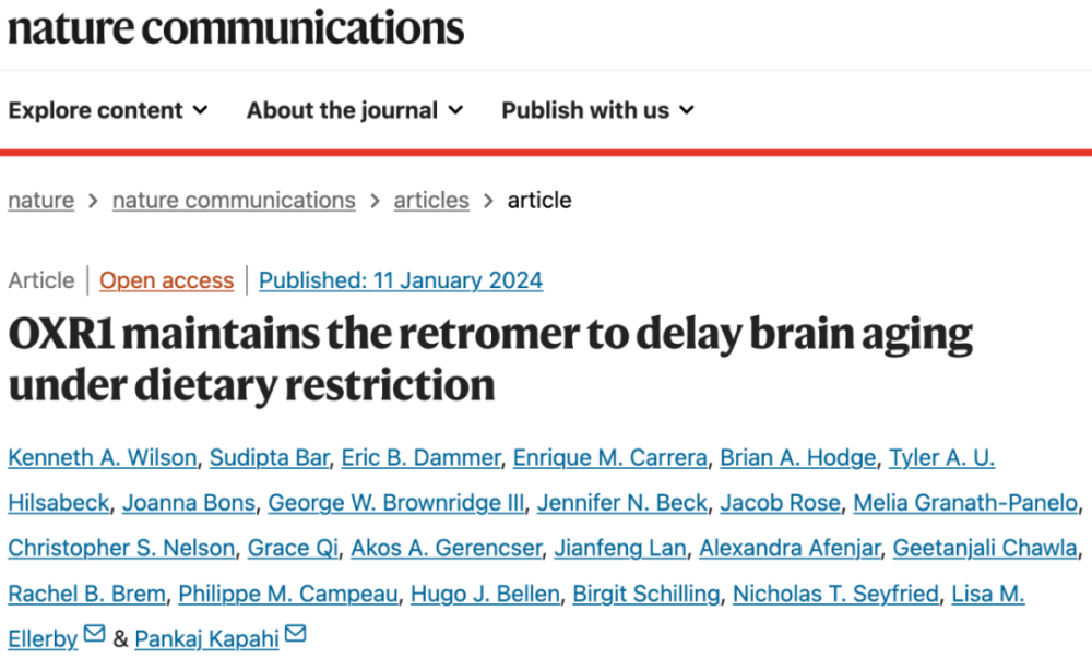 科学家揭示延缓大脑衰老的关键调节因子，证明限制饮食或有益于健康长寿