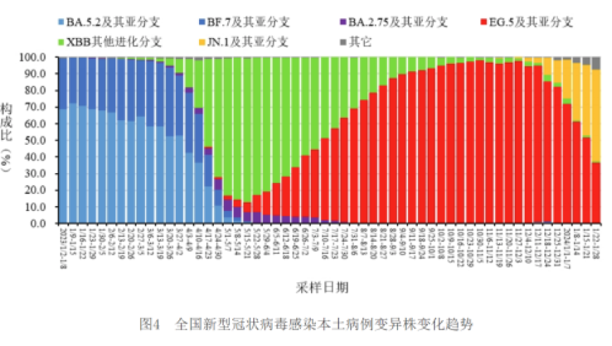 春节时期，新冠病毒感染人数攀升。