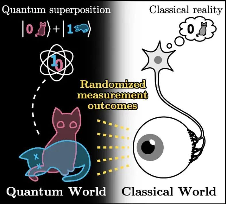 AI 眼中薛定谔的猫是死是活？