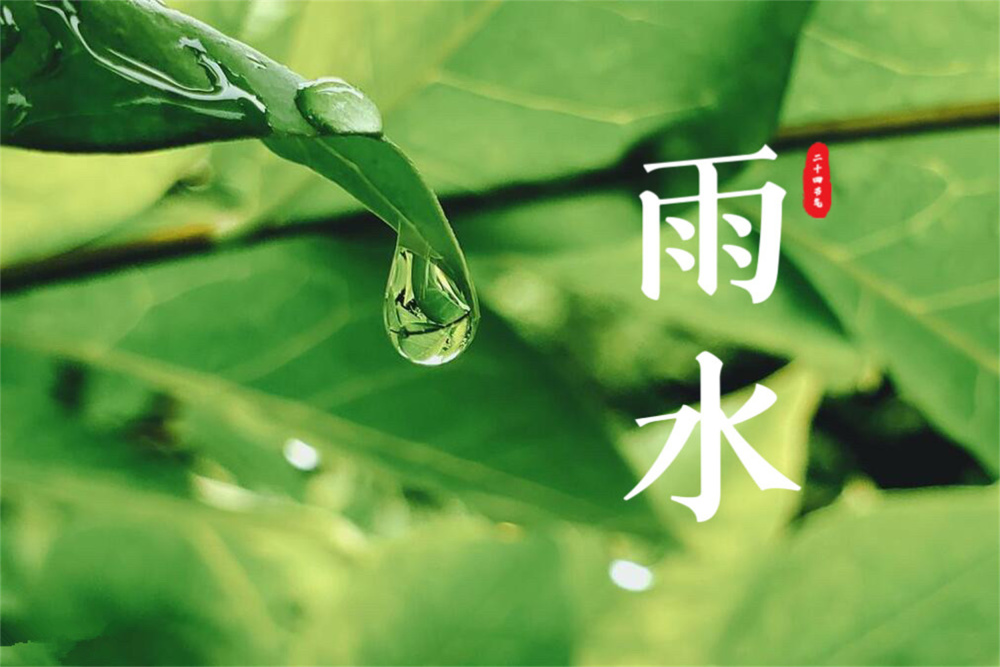 雨水吃四青，四季一身轻，明日雨水，“4青”指的是啥？建议了解