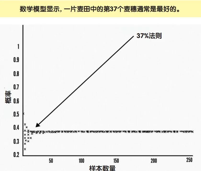 决定人生的37%法则