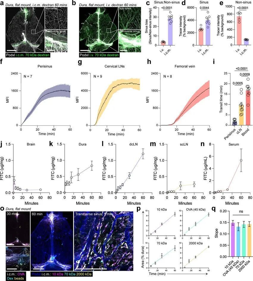 Nature｜科学家揭示人类大脑及其周围环境之间的神秘关联