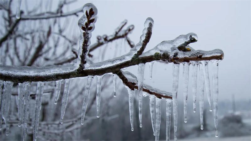  寒潮大暴雪即将来袭，四省出现鱼眼符号！权威预报：局部连下四天