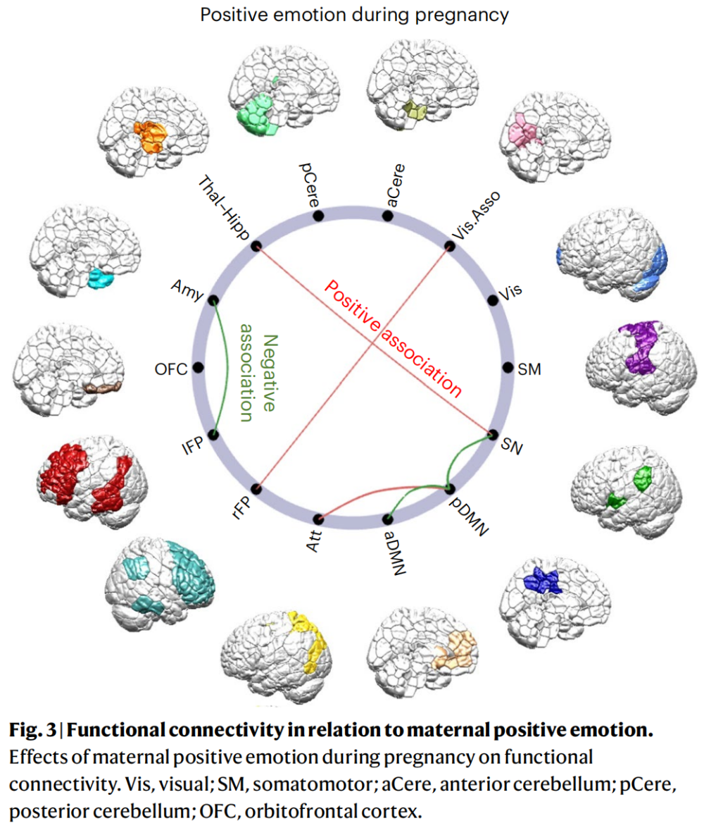 《自然·精神卫生》：孕期情绪积极，或有利于后代的大脑发育！