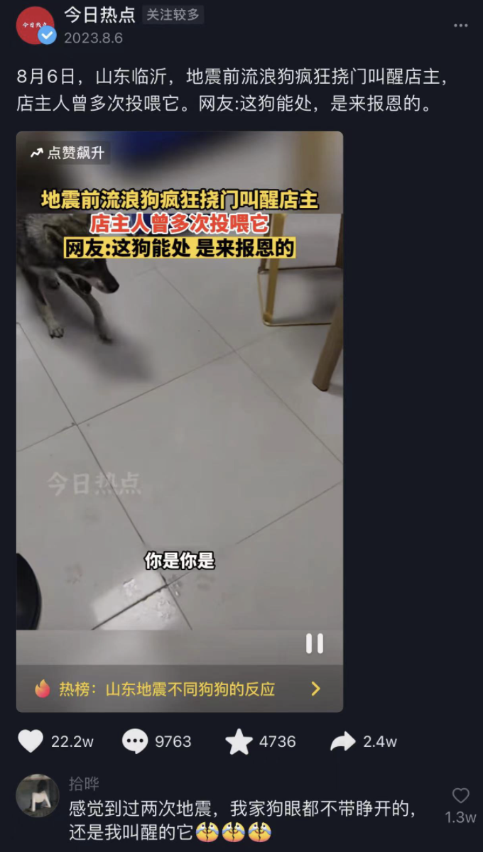 猫咪叼老鼠给主人，这是在报恩吗？真相和你想的不一样