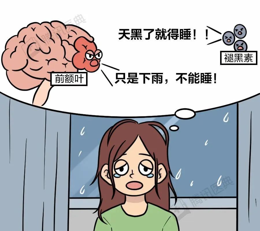 为什么一下雨就想睡觉？这是大自然给你的“福利”