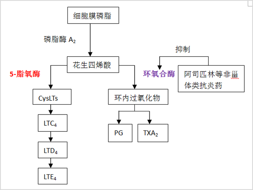 孟鲁司特钠「止咳」有奇效，90%的医生将其开为止咳处方药！殊不知，风险也在慢慢接近