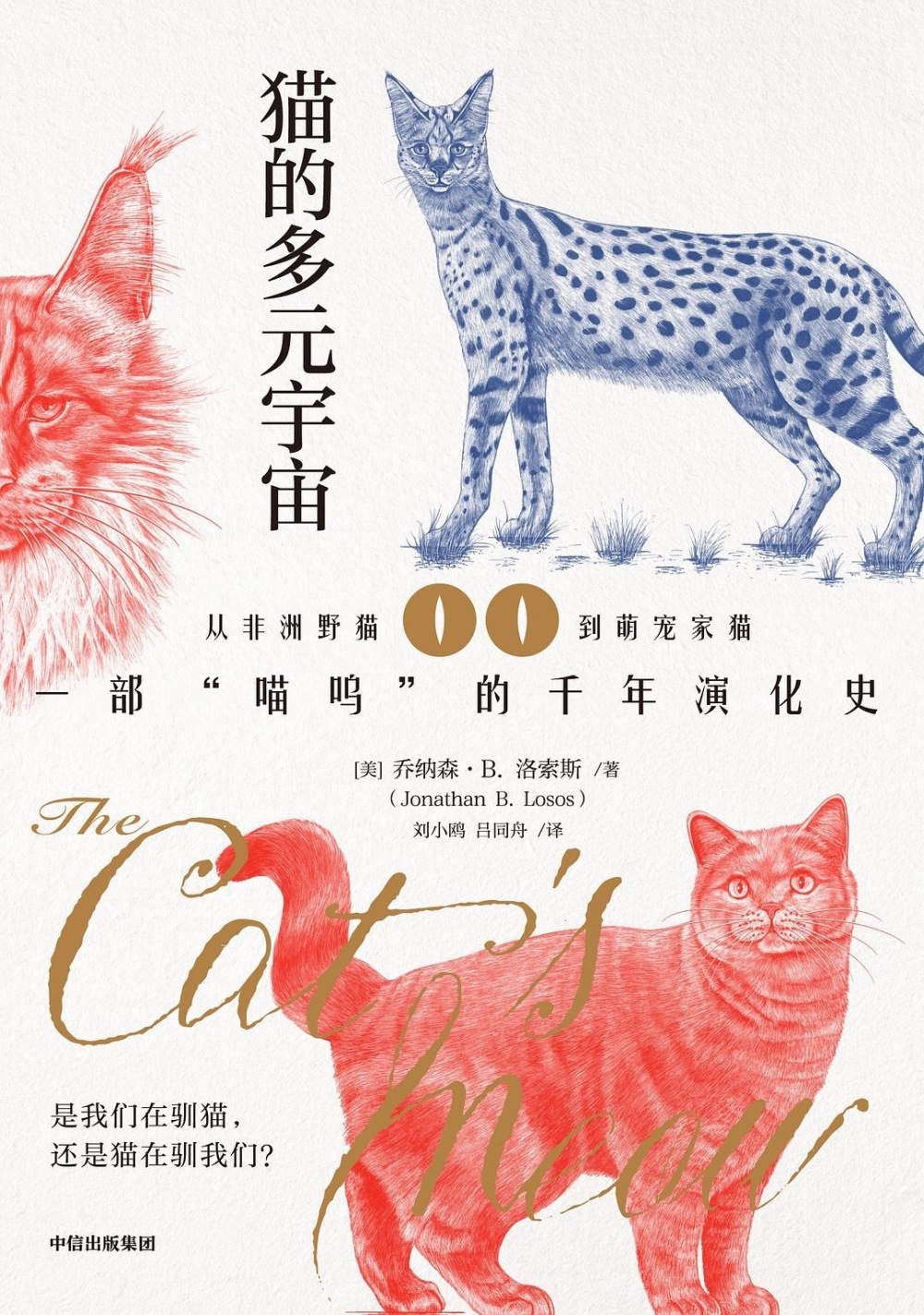 是我们在驯猫，还是猫在驯我们？｜一周新书推荐