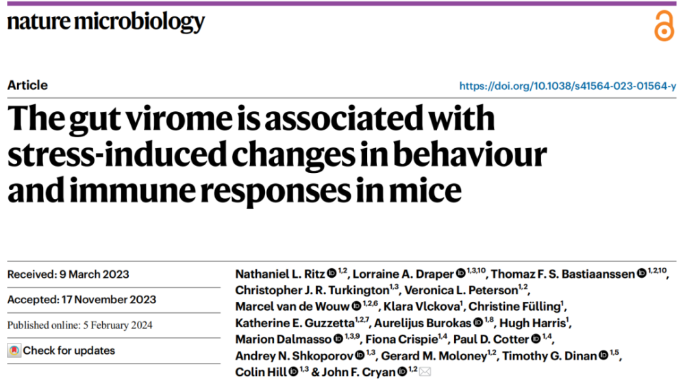 《自然·微生物学》：科学家发现，移植健康的粪便病毒组，可以改善慢性压力下的免疫和大脑基因变化