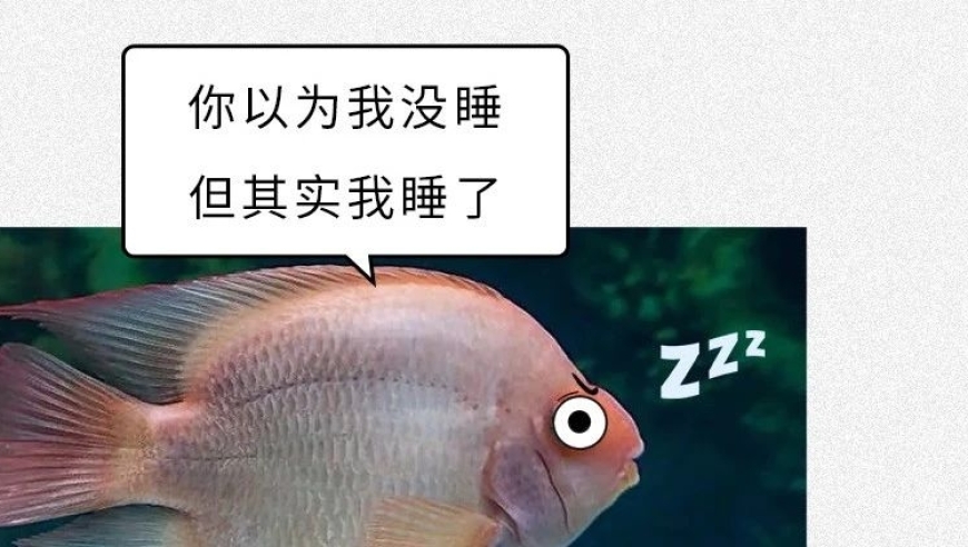 鱼儿睡眠时，会随水流漂走吗？沙雕知识再次扩容！