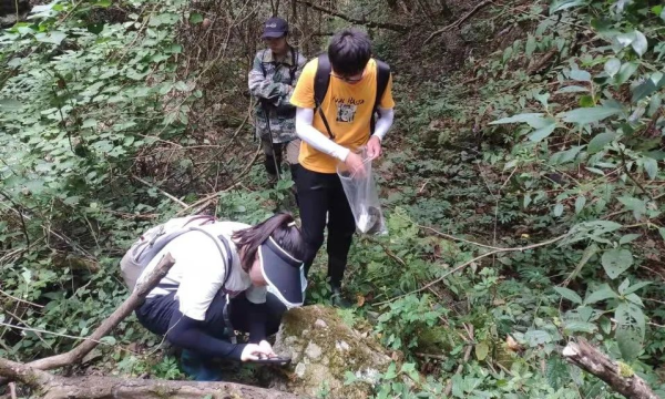 衢州江山市发现大型真菌全球新物种：中华炭褶菌，毒性不明