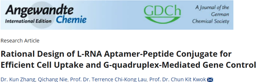 科学家开发高效偶联L-RNA适体新方法，推动新型功能性核酸的生物医学用途