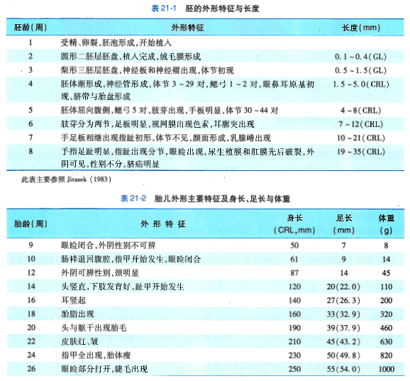 冷冻胚胎是儿童？！美国地方法院依据圣经这样裁决