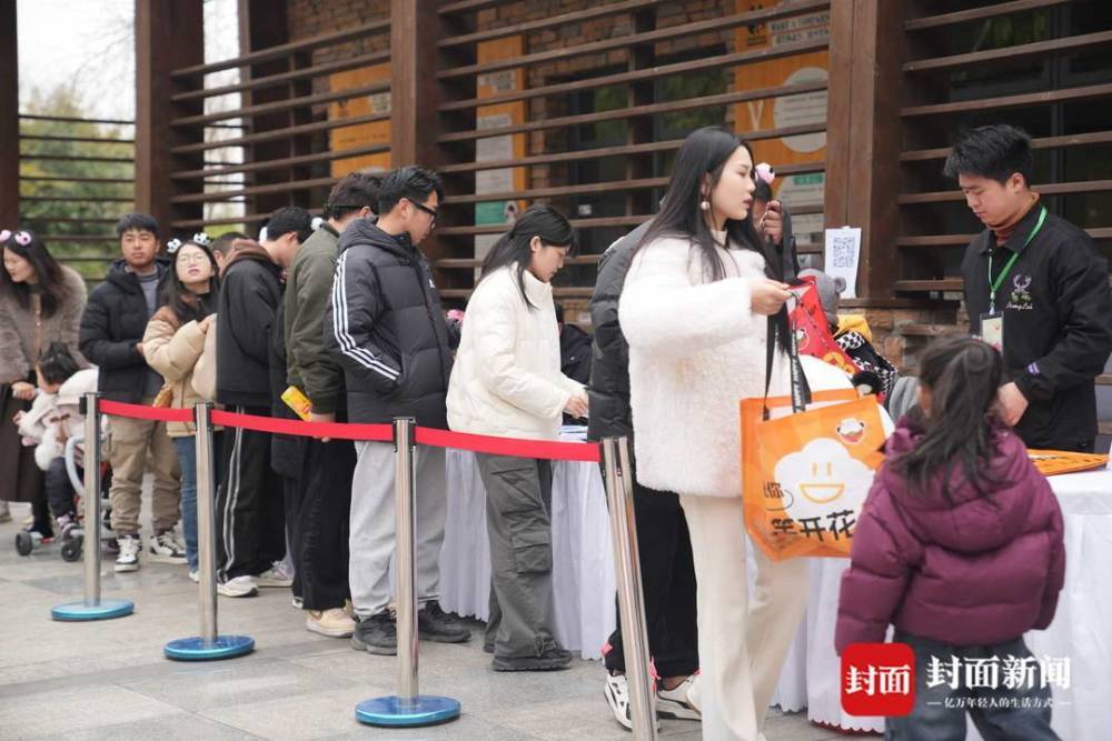 成都熊猫基地元宵节氛围拉满 “桐妹儿”带你看“花花”送团圆