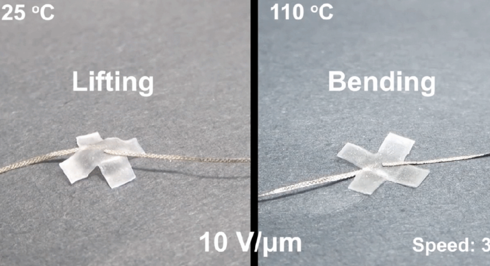 浙大团队开发液晶介电弹性体，通过改变温度实现多模态驱动