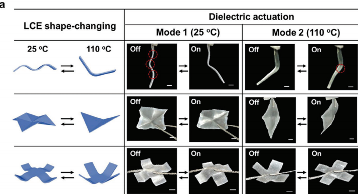 浙大团队开发液晶介电弹性体，通过改变温度实现多模态驱动