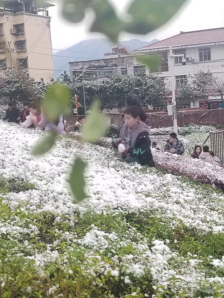 朝会课改耍雪去！这所小学的孩子们玩嗨了