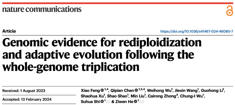 Nature Commun | 中山大学施苏华/何子文课题组揭示植物基因组三倍化后重二倍化及适应性进化机制