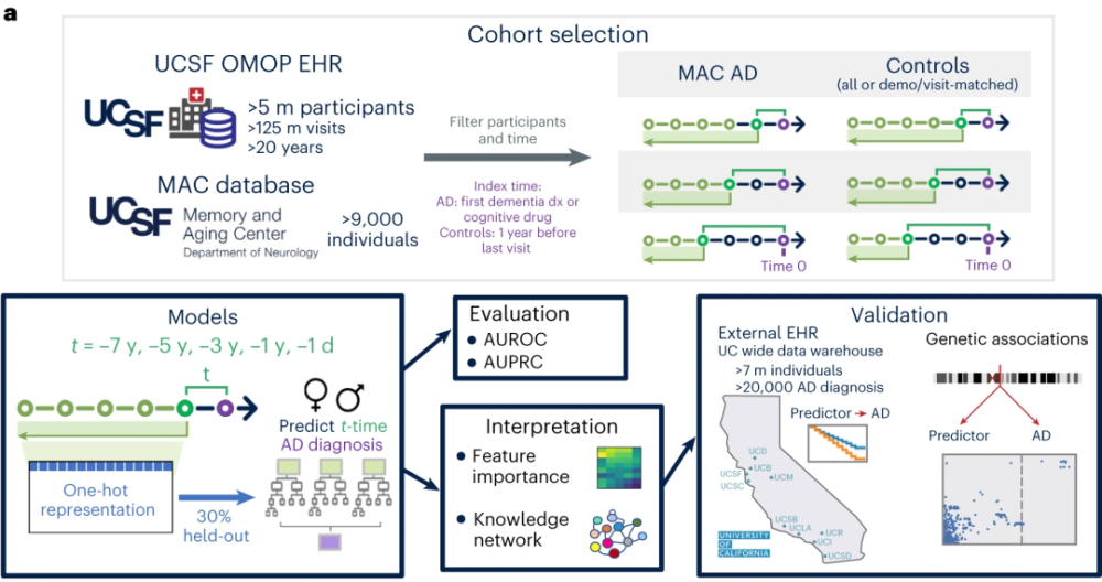 《自然·衰老》：患阿尔茨海默病的风险，藏在7年前的病历里！UCSF团队基于电子健康记录，开发出可提前7年预测AD风险的AI模型