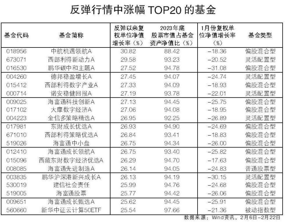 红2月基金反弹调查：数字主题领跑 混基大涨大跌