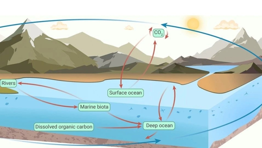 海洋碳库奥秘，溶解性有机碳演化史，创新地质科学解读
