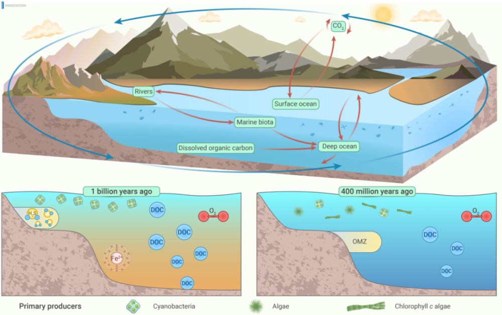 The Innovation Geoscience | 海洋重要碳库（溶解性有机碳库）演化史揭秘