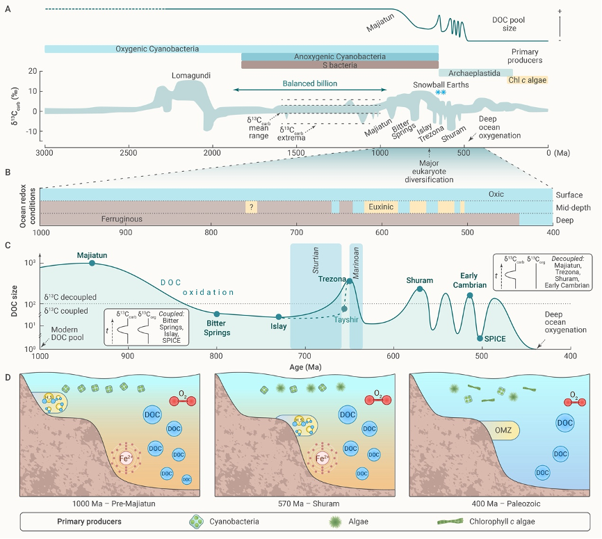 The Innovation Geoscience | 海洋重要碳库（溶解性有机碳库）演化史揭秘