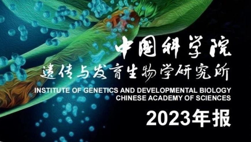 这研究生牛掰！一年写出426篇SCI论文，平均影响因子高达10.99。他来自中国科学院遗传与发育生物学研究所，2023年毕业的哦！