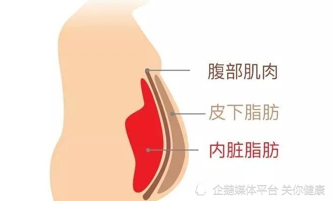 为健康而减肥，需要关注内脏脂肪指数，抓住5个要点