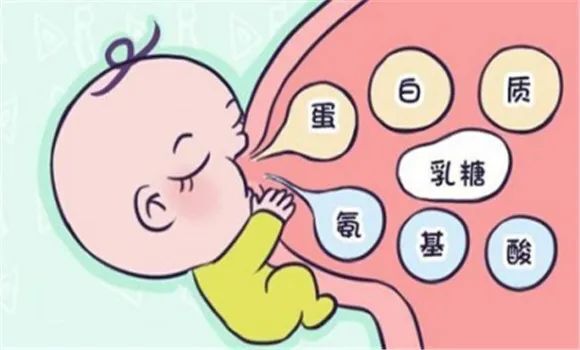 6个月后母乳没营养了吗？什么时候适合添加辅食？丨健康总动员