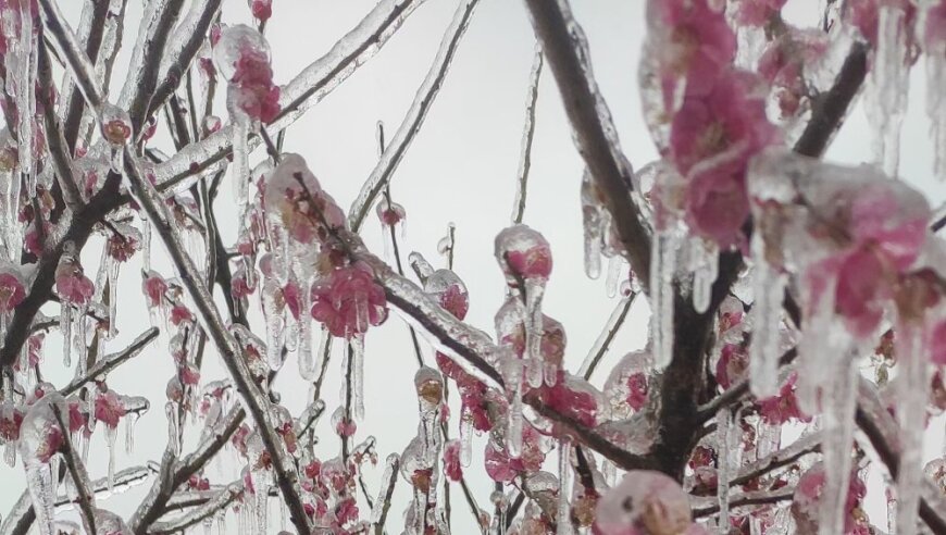 花地：女儿十六岁生日前，我心柔软。