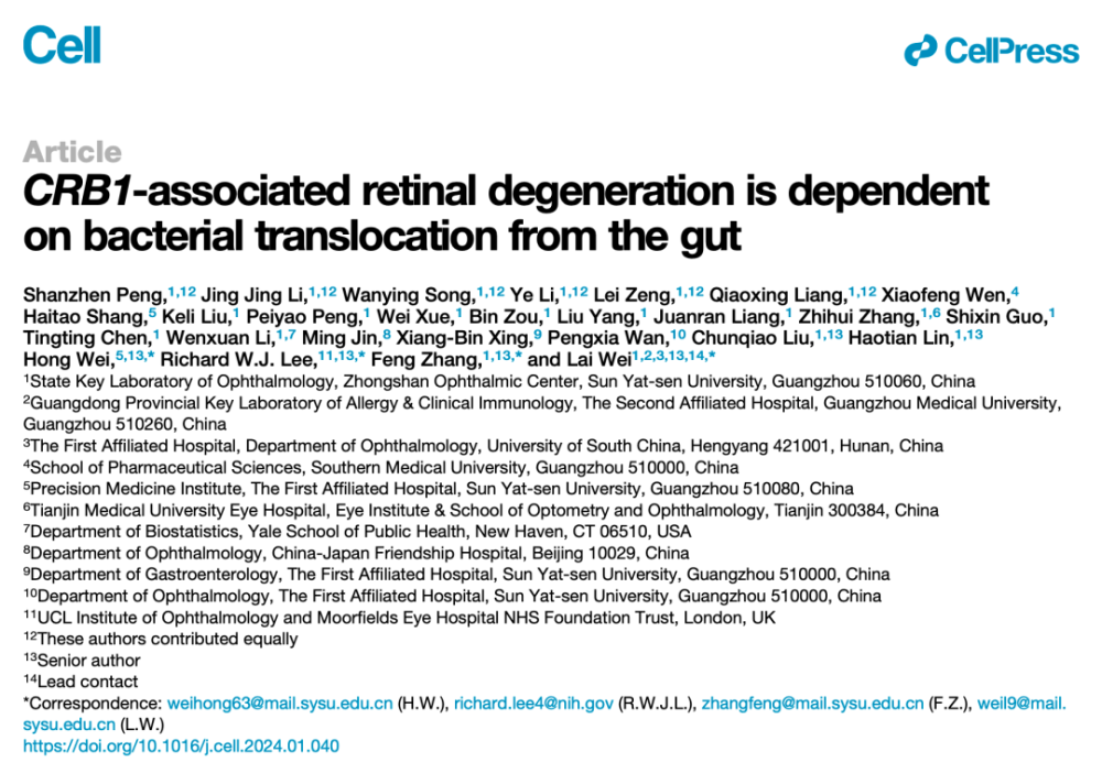 Cell重磅：我国学者首次发现，这种遗传性失明，竟是肠道细菌导致的，还可使用抗生素治疗