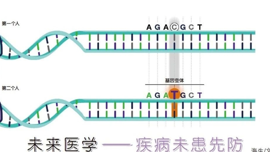 预见健康，防病于未然，未来医学为您守护。