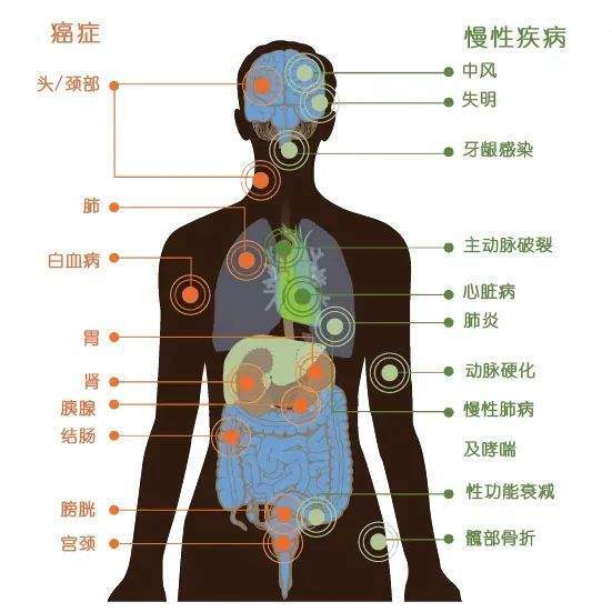 上亿烟民的问题，领导一拍脑袋就定了 | 地球知识局