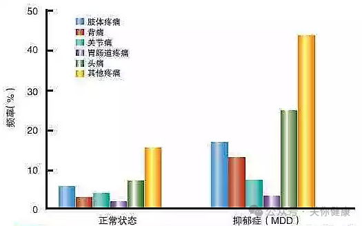 慢性疼痛影响大脑，补充益生菌，有助于改善症状