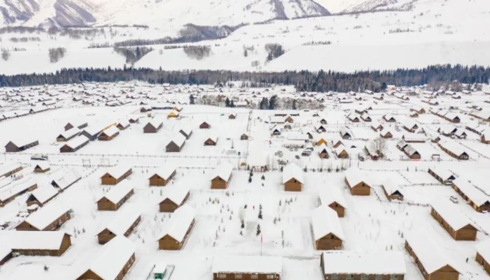 新疆一雪地上出现神秘隧道，还有生物在动，无人机查探竟是一群狼