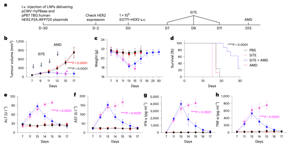 Nature子刊：宫宁强等人开发小分子调控的双抗，保留抗肿瘤活性的同时避免毒性作用