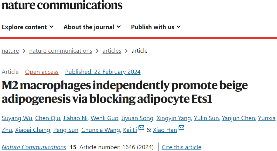 Nat Commun | 韩晓/李锴发现M2巨噬细胞促进米色脂肪生成的潜在机制