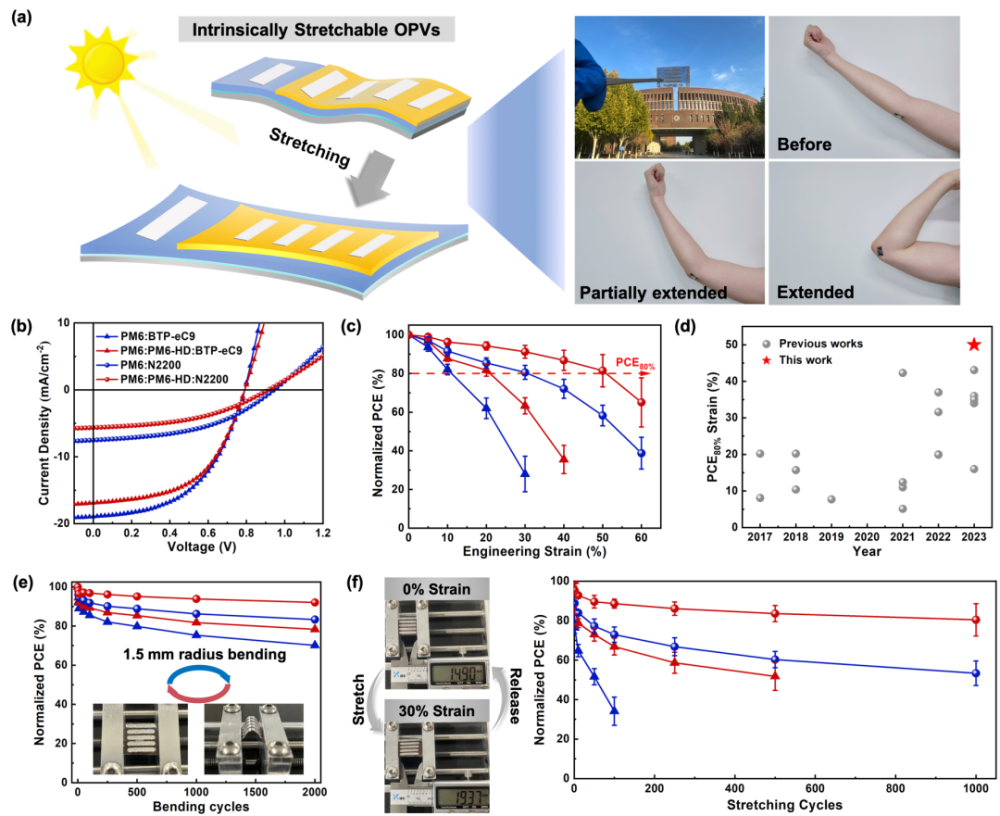 天津大学连发AM/AEM/AFM：在本征可拉伸光伏薄膜研究中取得系列进展