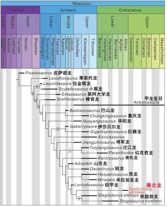 【恐龙王国】中国新恐龙见证剑龙最后辉煌