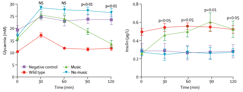 柳叶刀子刊：用音乐触发基因开关，激活胰岛素分泌，快速降血糖