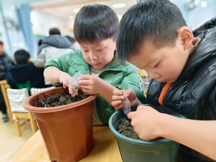 开学第一天，这群小伢儿收到种子 老师：带着孩子们明白成长的意义