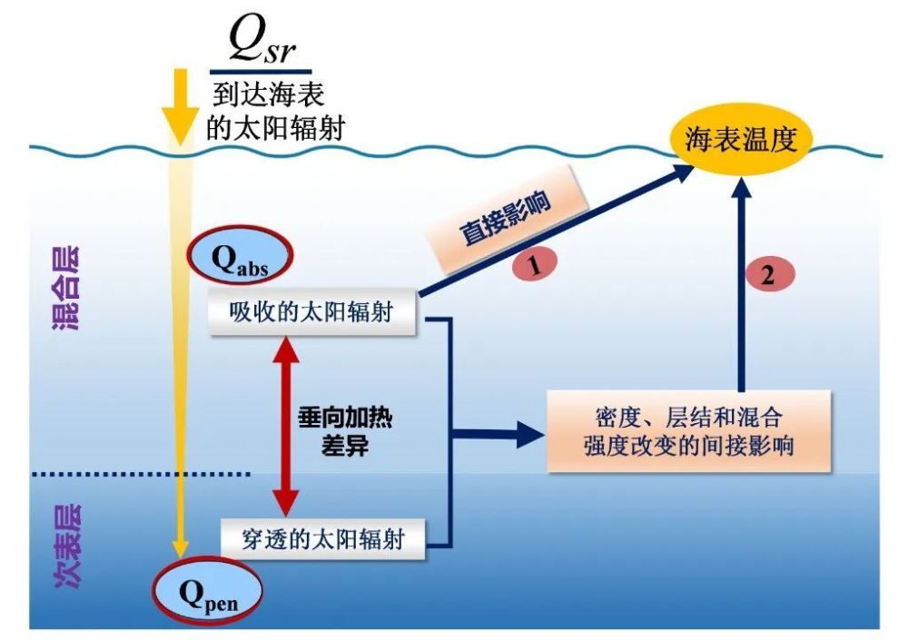 热带太平洋年际和热带不稳定波尺度叶绿素变率对ENSO调制的互补效应 | SCES封面文章