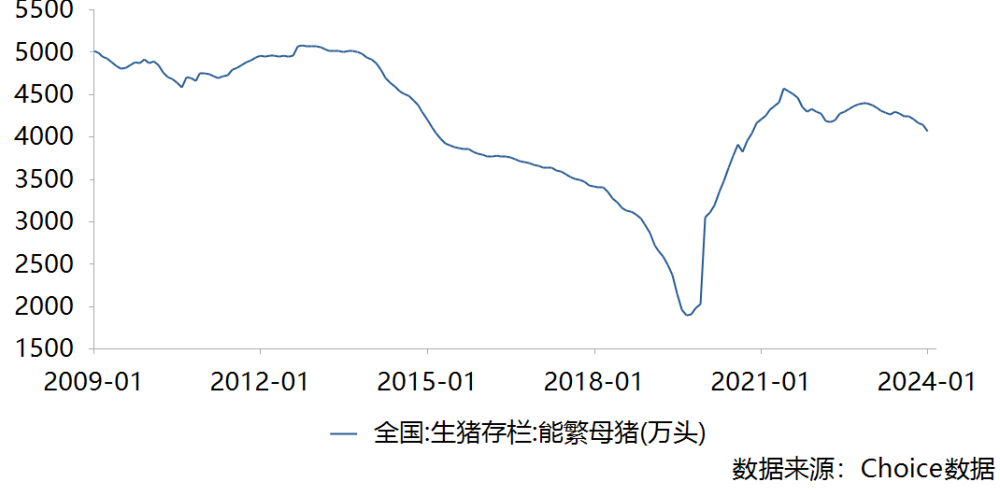 能繁母猪数据降至近三年新低 上市猪企下半年终于可以“止血”了？